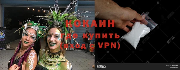 стаф Кодинск