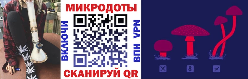 Купить где  Гороховец  Псилоцибиновые грибы Magic Shrooms 